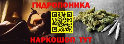 крисы Коммунар