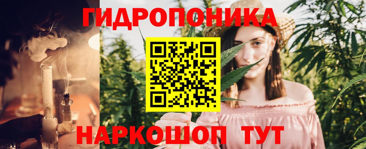 Бошки Шишки MAZAR  Марихуана OG Kush  Вход с VPN  Заволжье  Каннабис MAZAR 
